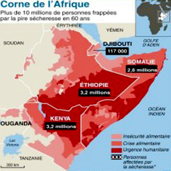 1311160334-corne_de_l_afrique_